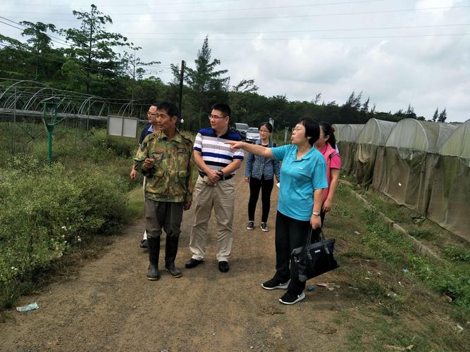 標(biāo)簽剝離機簡便操作讓清潔變得輕松高效
