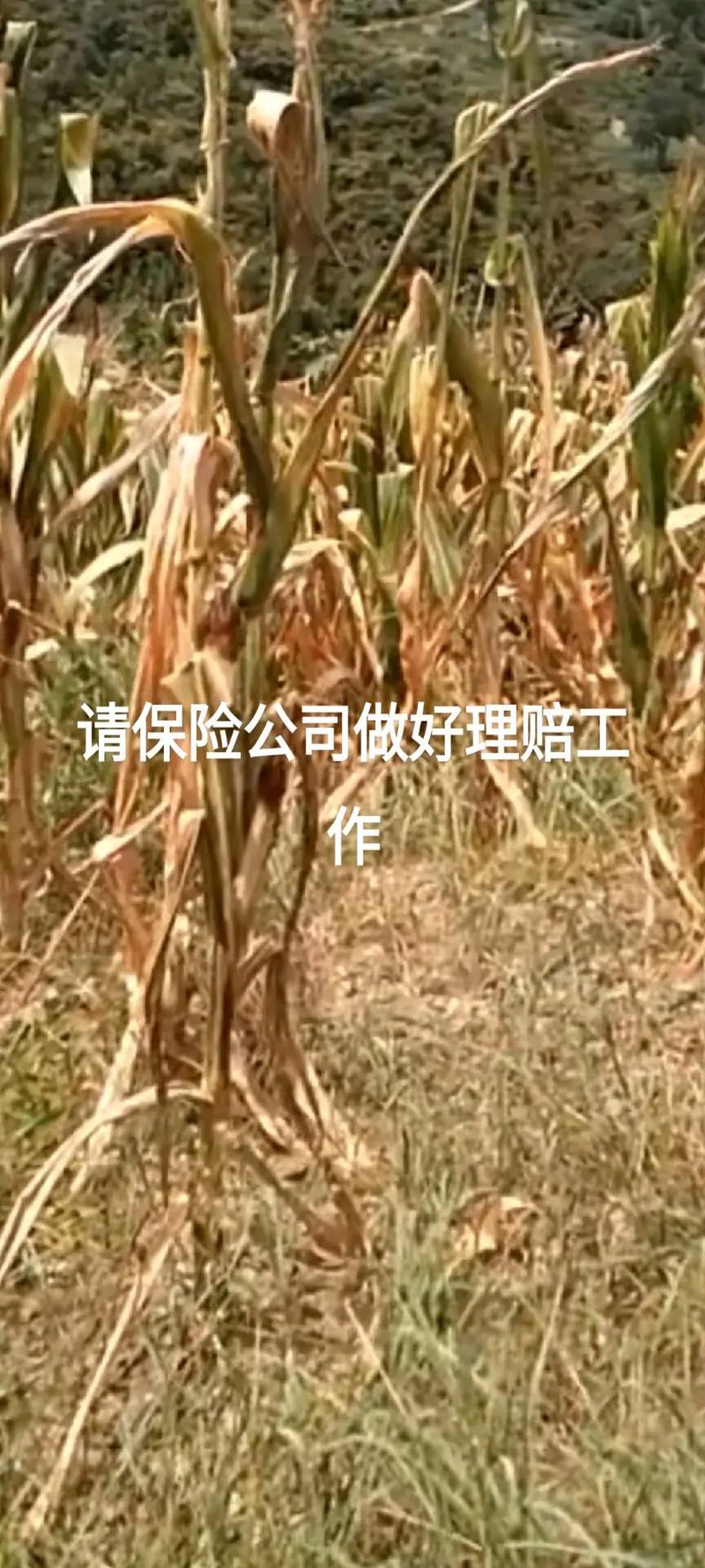 提升熱風(fēng)槍加熱效率的十個(gè)實(shí)用操作技巧