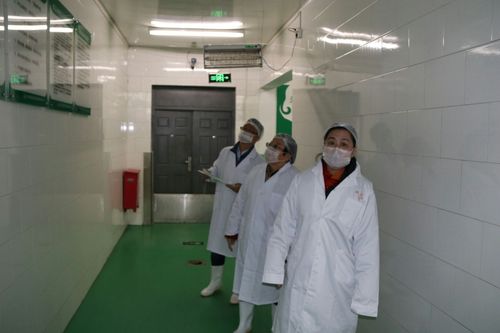 提升工作效率與精度JZR工電批值得體驗