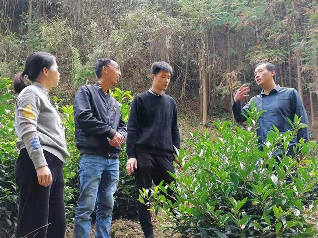 如何使用JZR工電批提高工作效率和動力