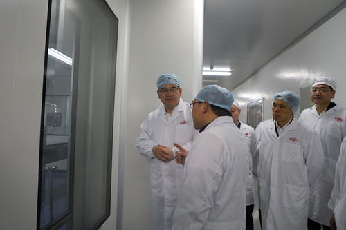 可靠耐用的日本DELVO電動(dòng)起子在工作中的表現(xiàn)