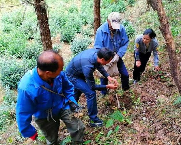 美國(guó)SW吸錫線助力高效去除焊錫提升電路板焊接效果