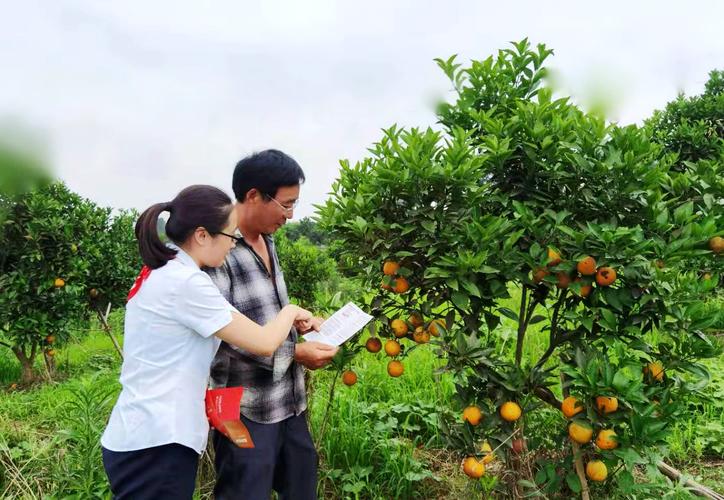 解析貓牌風(fēng)批的特色與優(yōu)質(zhì)之處