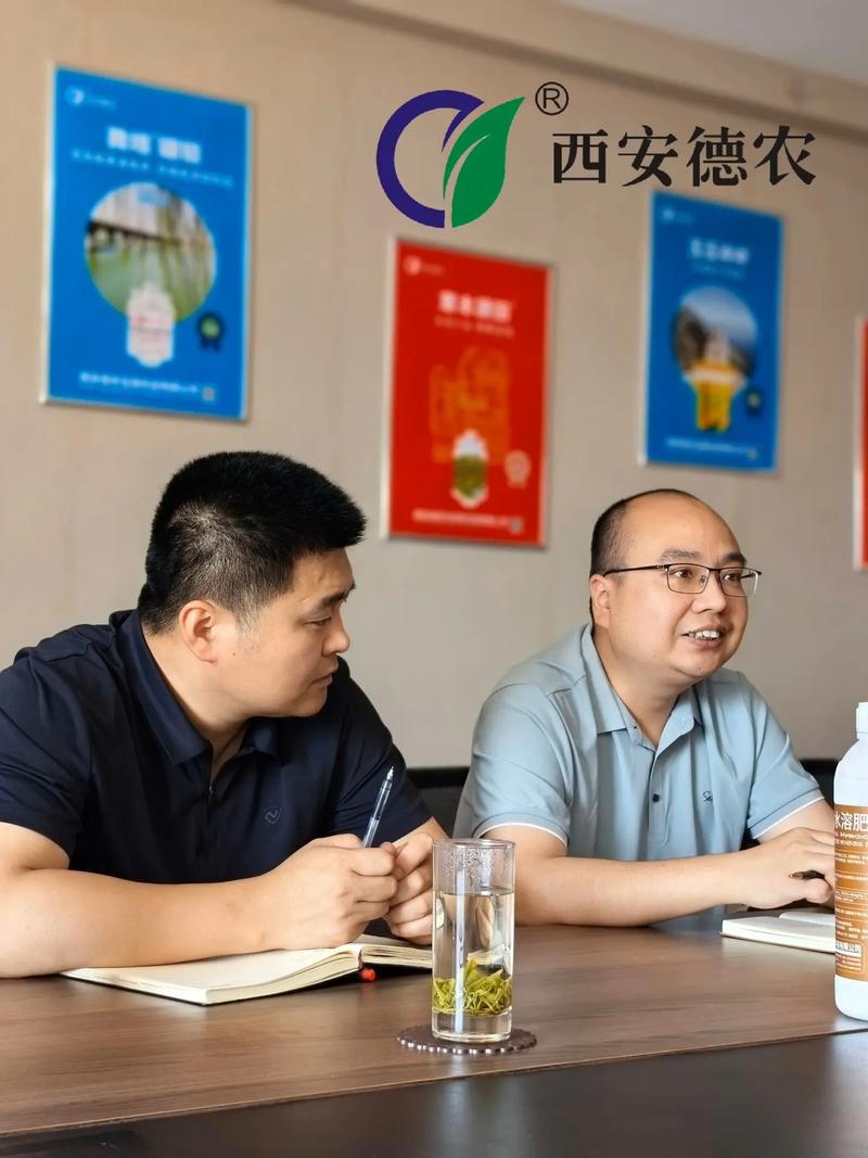 如何通過(guò)犀牛風(fēng)批打造獨(dú)特時(shí)尚風(fēng)格